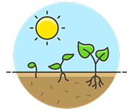 Learning Journey Portfolio Development